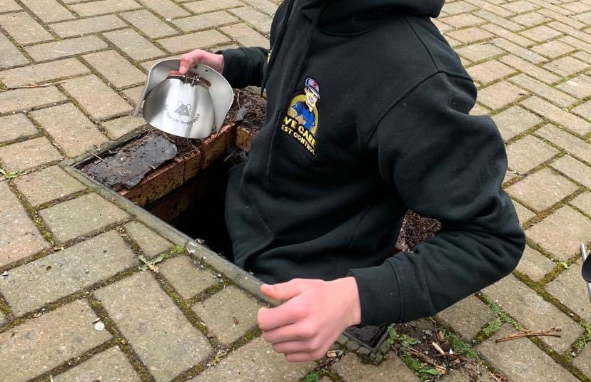 Gallery We Care Pest Control Hull