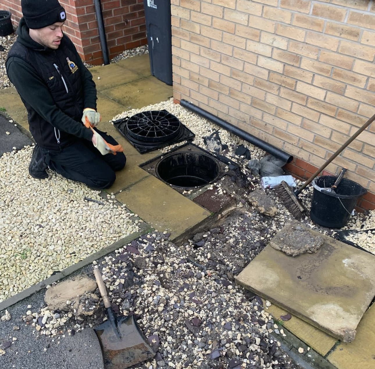 Gallery We Care Pest Control Hull