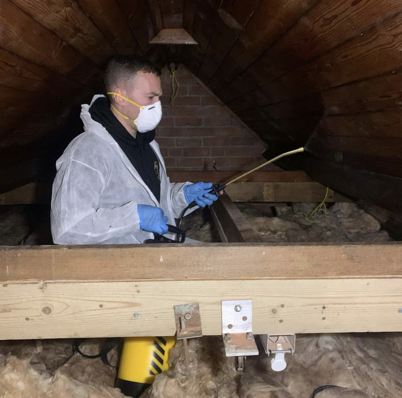 Gallery We Care Pest Control Hull