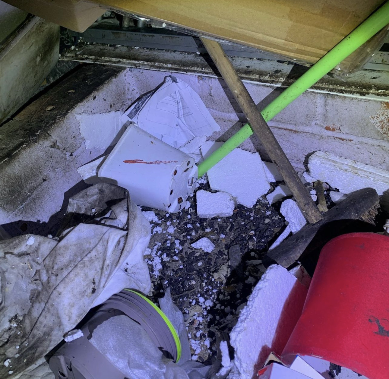 Gallery We Care Pest Control Hull