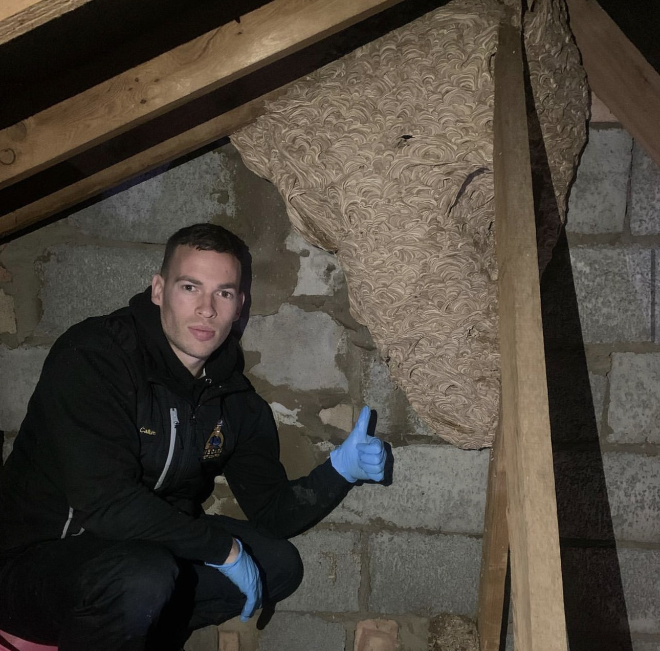 Gallery We Care Pest Control Hull