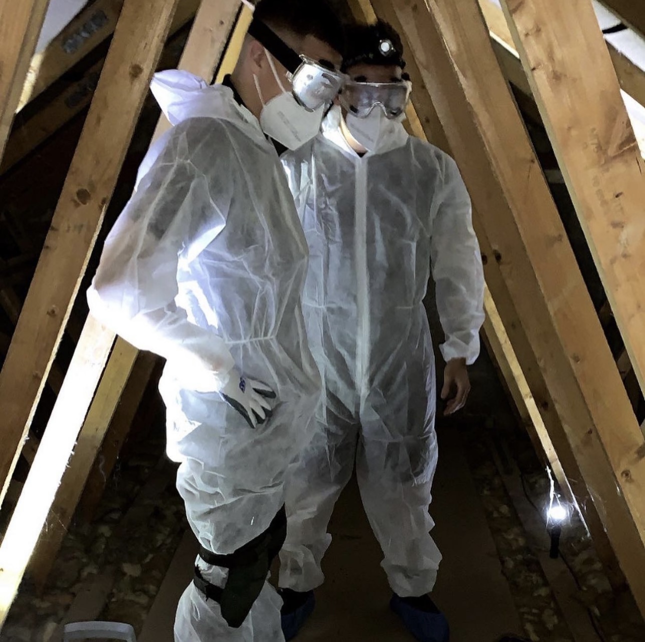 Gallery We Care Pest Control Hull