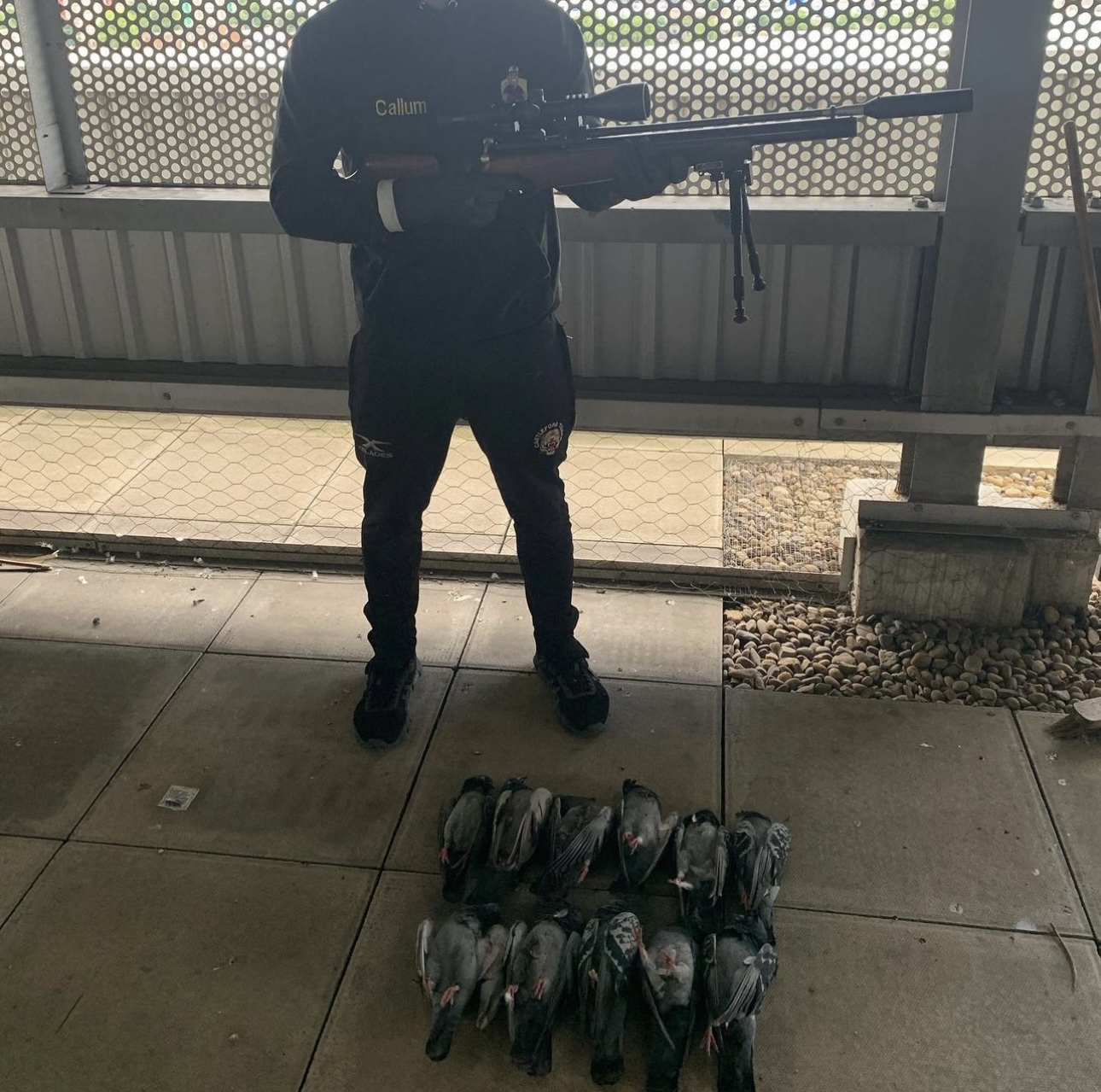 Gallery We Care Pest Control Hull