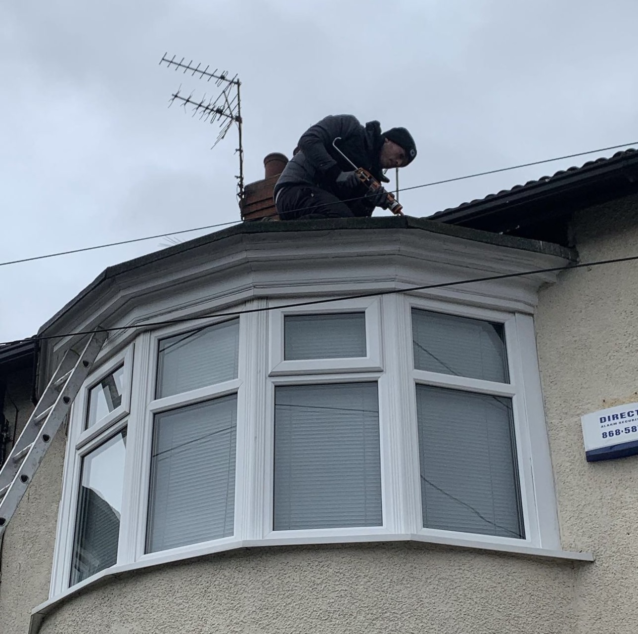 Gallery We Care Pest Control Hull